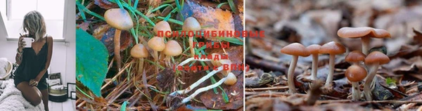 героин Заволжск