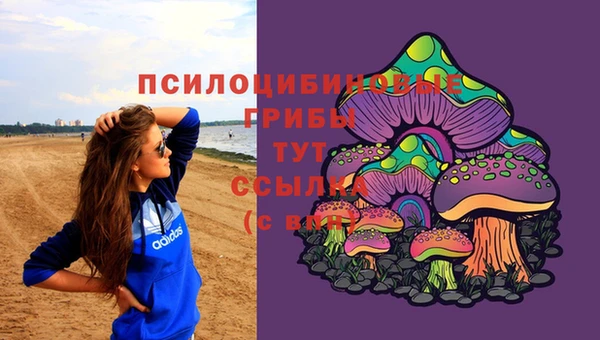 2c-b Беломорск